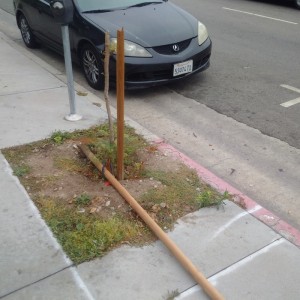 Although the BIDs seem to feel they've caught the Vine Street Tree Vandal, our correspondent noted the pictured damage this morning.  This is the first time, to our knowledge, that the vandalistic attacks have targeted not only trees but their paraphernalia as well.