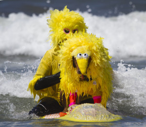 On the surface this seems to be a picture of a guy and his dog surfing while both dressed up as Big Bird, who also got a C&D letter from Sesame Street at the corrupt behest of the HPOA.  But, you know, these two might be up to something even worse than painting their breasts red, white, and blue and titillating the touristas.