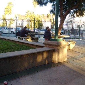 A sunny cold November day in Selma Park with grownups sans children, just sitting around enjoying the goddamned park like God and the Recreation and Parks Commission intended them to do.