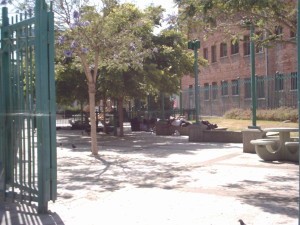 BID Patrol surveillance photo of Selma Park from 2007.