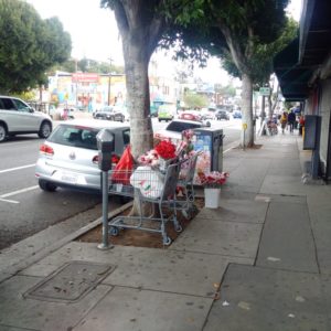 If the Echo Park BID is established forget about little old ladies selling flowers, like this one on Sunset Blvd. just West of Echo Park Avenue.  BIDs freaking hate little old ladies!