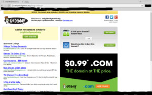 Screenshots or it did not happen!! Friends, this is what it looks like to be a loser on the Internets!  It is bad enough that you even register your domain with Godaddy, but if you let it expire and get parked for all the world to see?!  Losers!  Losers squared!!  Losers to the power of n, friends!!!